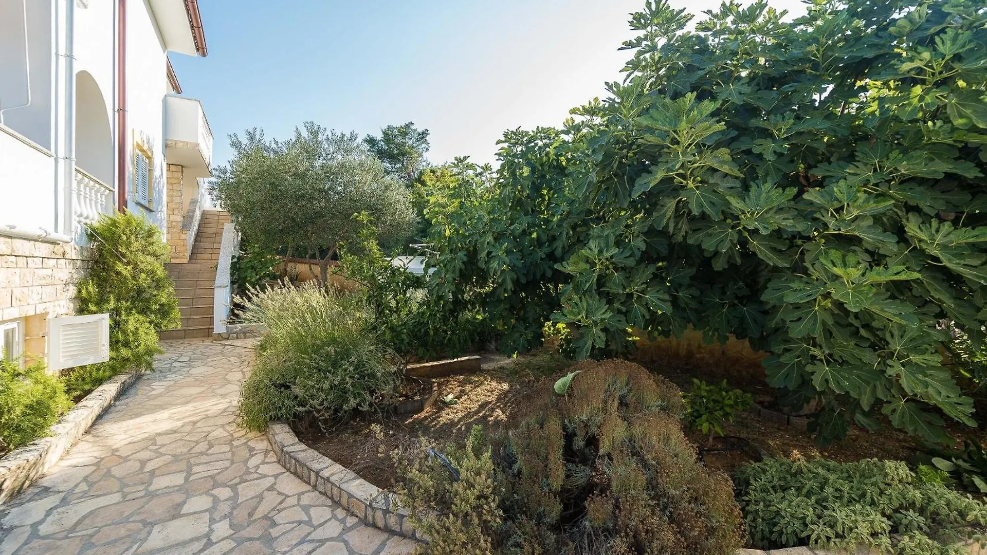 Apartments Cozy Lukoran Croatie